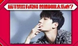 杨洋爆料八卦视频大全集,揭秘娱乐圈幕后真相，独家视频大揭秘